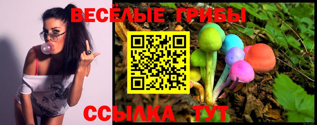 Галлюциногенные грибы MAGIC MUSHROOMS  Вход с VPN  Кингисепп 